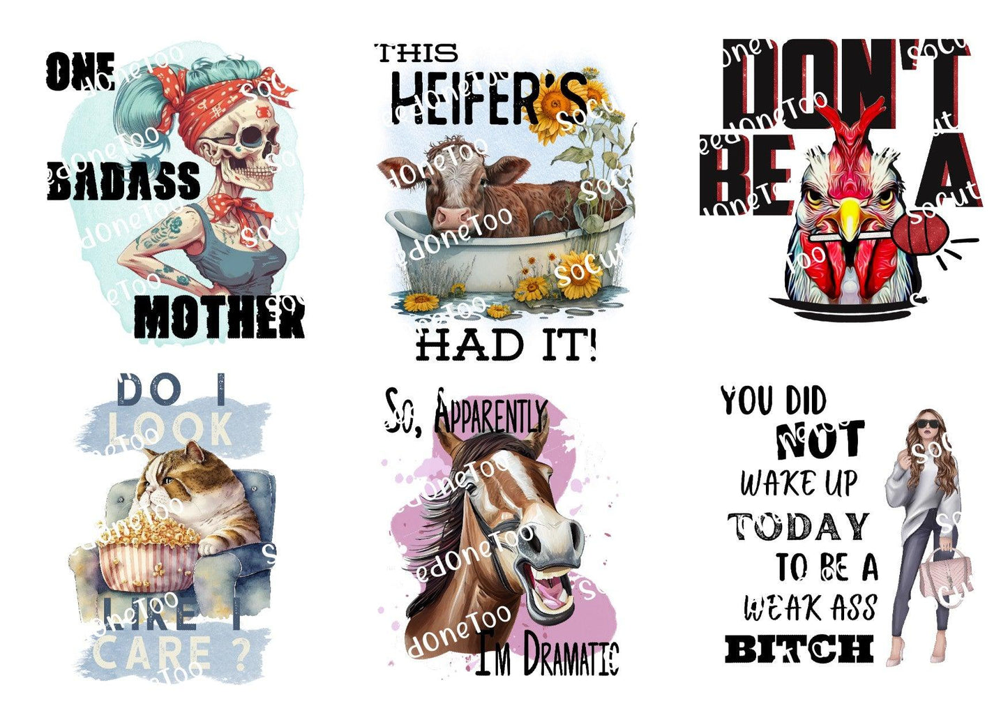 Adult - Don't Be A Cock Waterslide Decals - SoCuteINeedOneToo