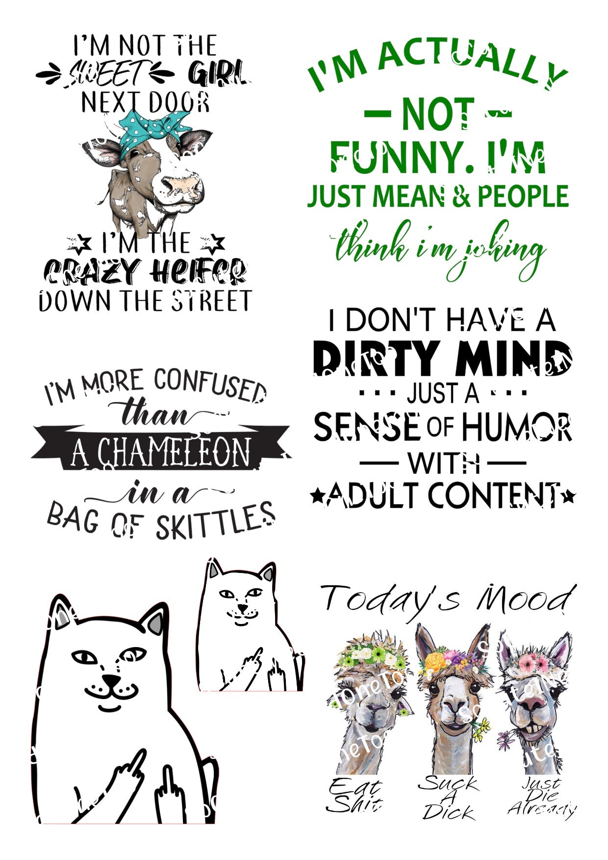 Adult Sayings #6 Waterslide Decals - SoCuteINeedOneToo