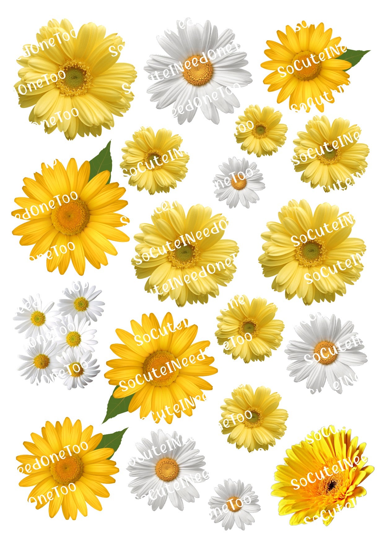 Beautiful Daisy Yellow & White Clear Waterslide Decals - Premium Quality