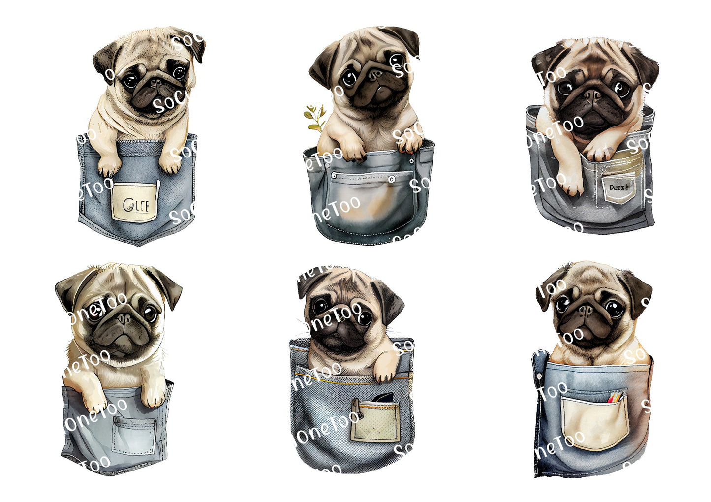 Pugs sobre papel de agua transparente/blanco listos para usar