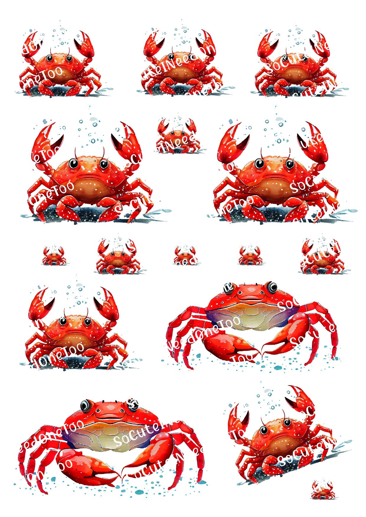 Crabs - Red Various Sizes Waterslide Decals - SoCuteINeedOneToo