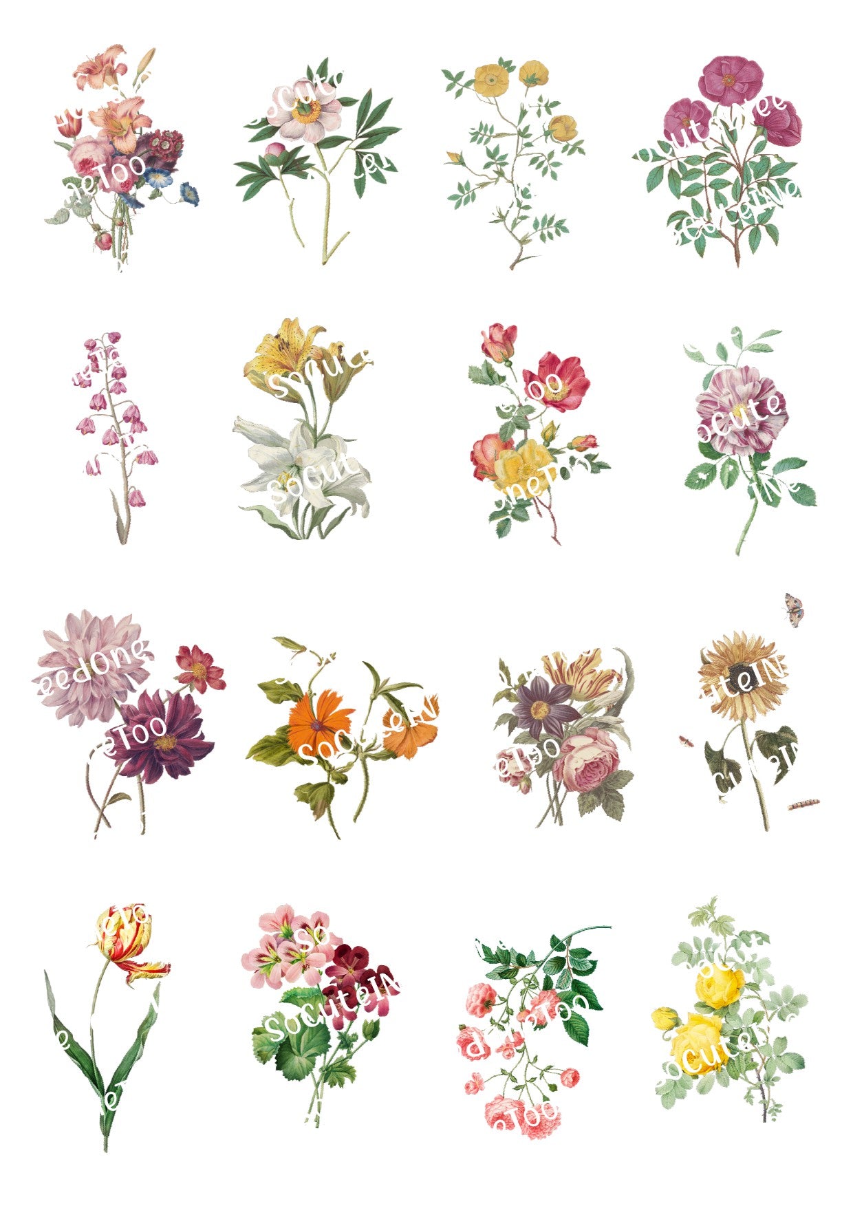 Flowers - Several Types Waterslide Decals - SoCuteINeedOneToo