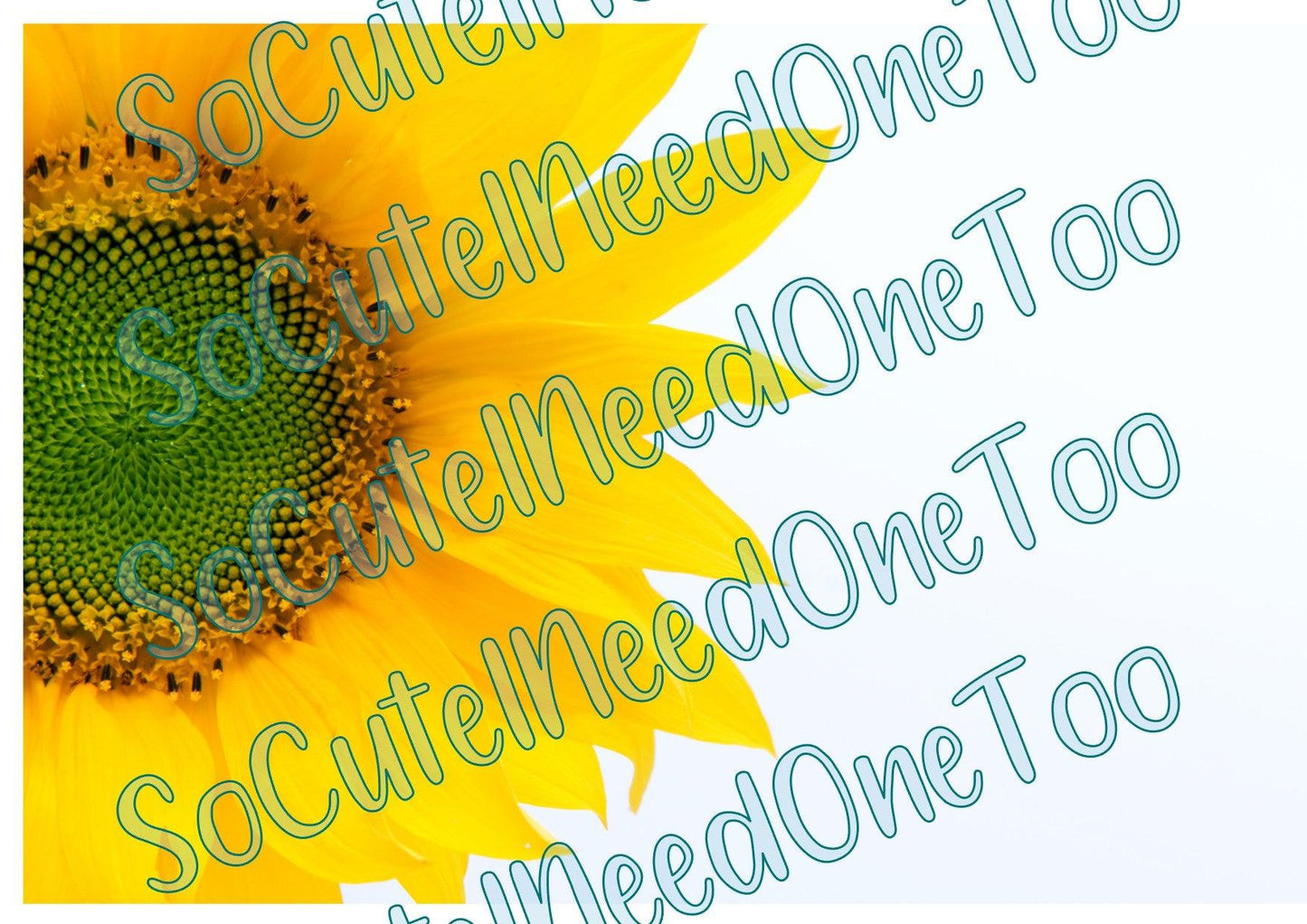 Sunflower - Half A Flower Waterslide Wrap - SoCuteINeedOneToo