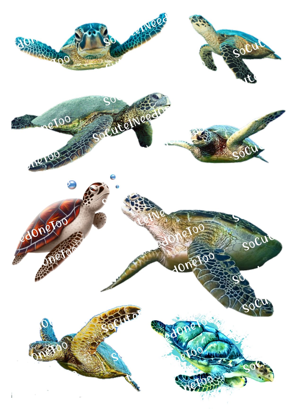 Turtles on Clear/White Waterslide Paper Ready To Use - SoCuteINeedOneToo
