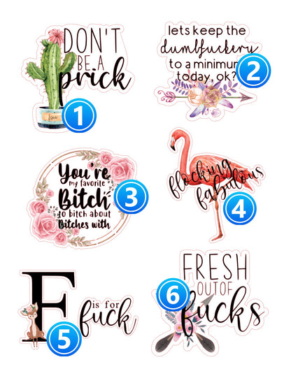 Adult Humor #12 STICKERS - Sassy, Fun, & Fabulous - SoCuteINeedOneToo