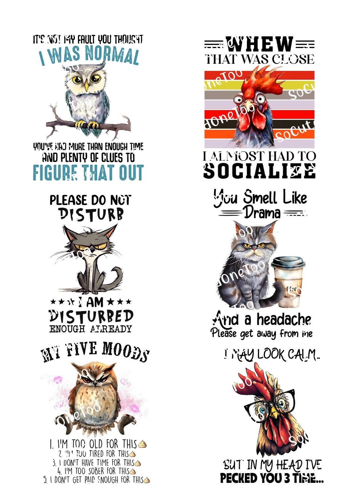 Adult Jokes 2 & 3 Waterslide Decals - SoCuteINeedOneToo