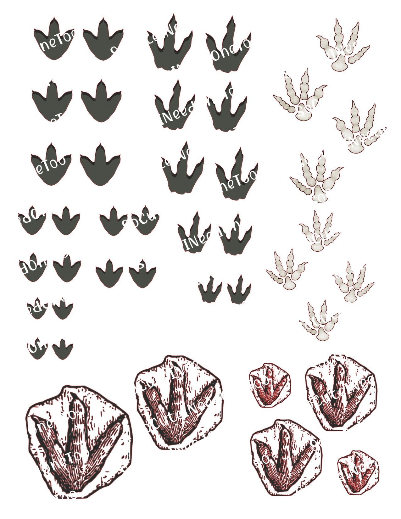 Collection of dinosaur footprints and handprints in various styles on a white background