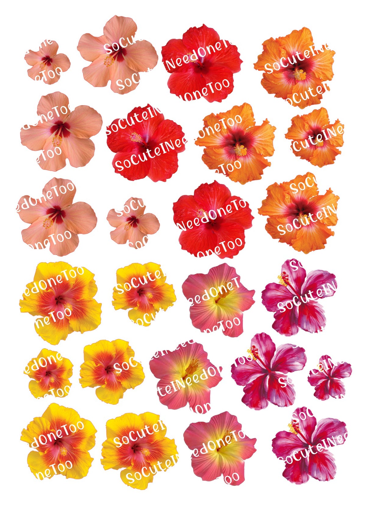 Hibiscus Flowers waterslide decal sheet – tropical floral designs for tumblers & crafts