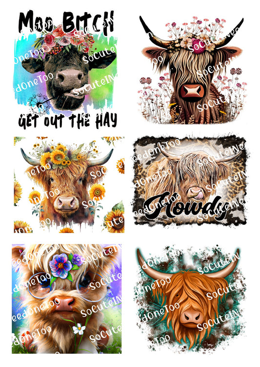 Highland Cows Moo B*tch waterslide decal sheet – funny highland cow designs for tumblers