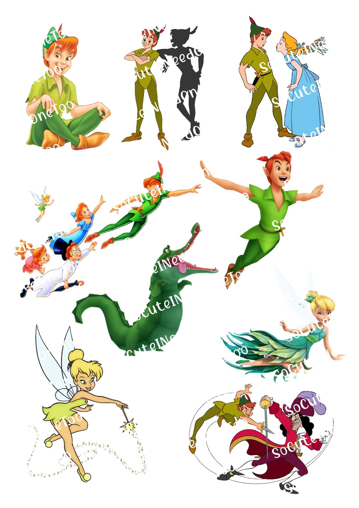 Peter Pan Decals on Clear/White Waterslide Paper - Ready To Use