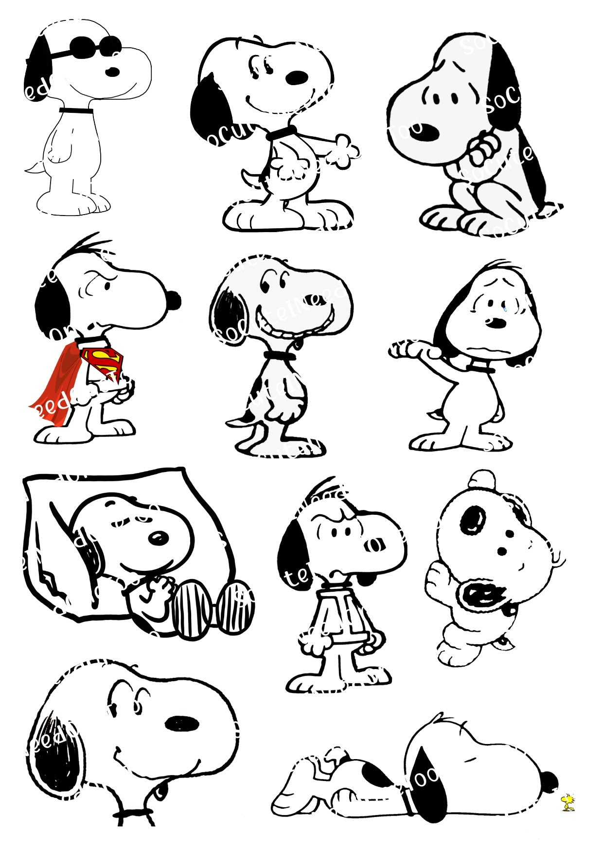 Snoopy Collection Waterslide Decals - Peanuts Gang Characters