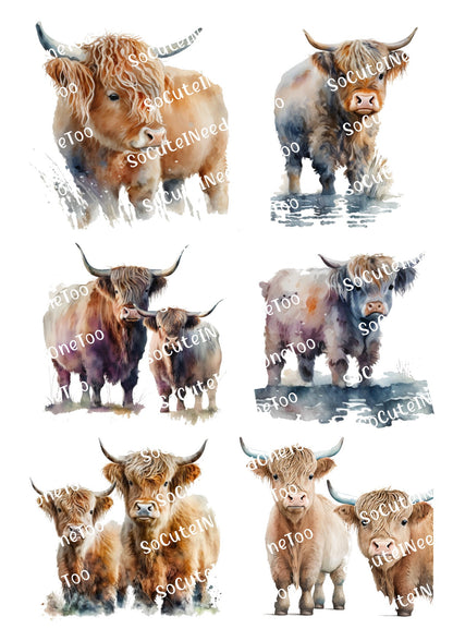 Collage of highland cows with water reflection effect