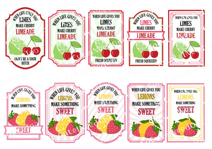 When Life Gives You BITCH SERIES Waterslide Decals – Sassy Lemon Designs for Tumblers