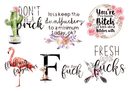 Adult Humor #12 STICKERS - Sassy, Fun, & Fabulous - SoCuteINeedOneToo