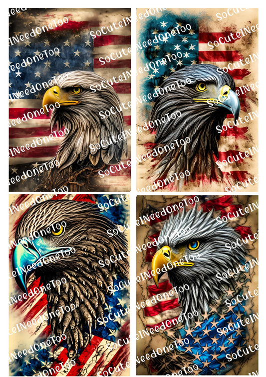 American Eagle Waterslide Decals - SoCuteINeedOneToo