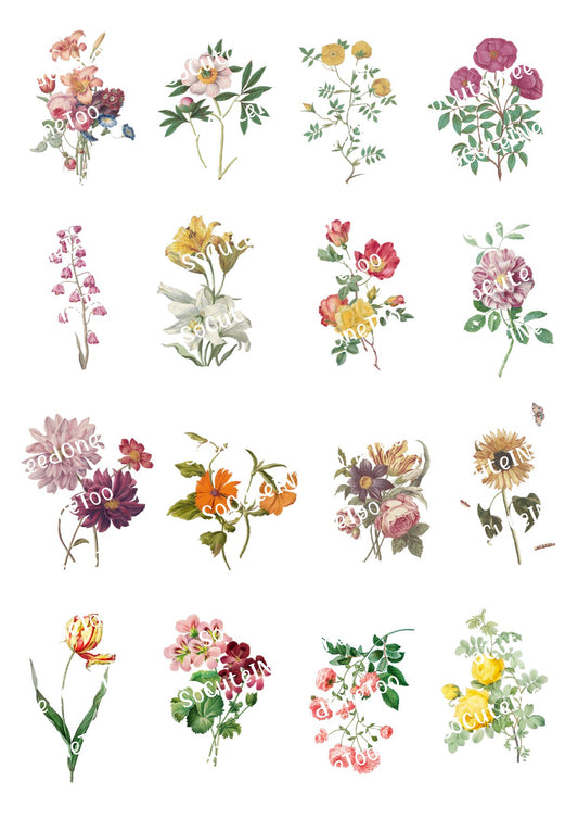 Flowers - Several Types Waterslide Decals - SoCuteINeedOneToo