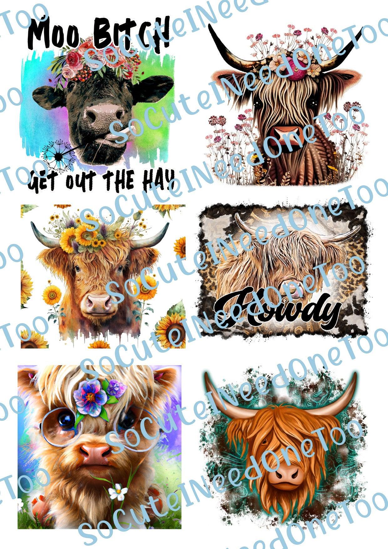 Highland Cows - Moo Bitch Waterslide Decals - SoCuteINeedOneToo