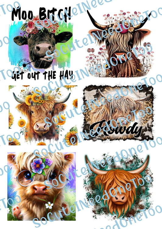 Highland Cows - Moo Bitch Waterslide Decals - SoCuteINeedOneToo