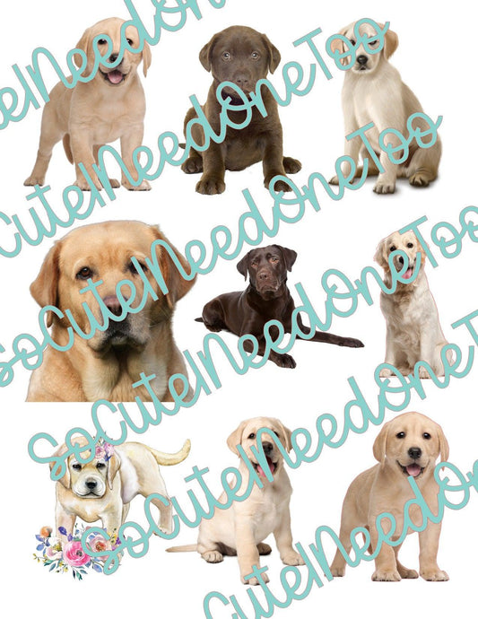 Lab Dogs on Clear/White Waterslide Paper Ready To Use - SoCuteINeedOneToo