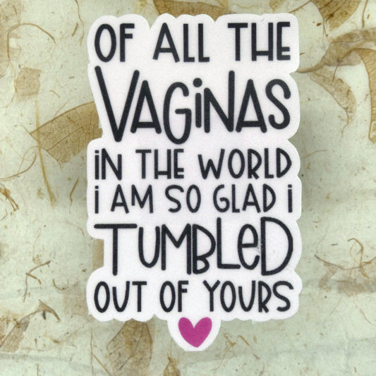 Of All The Vaginas In The World I Am So Glad I Tumbled Out Of Yours funny mom die-cut vinyl sticker, real product photo