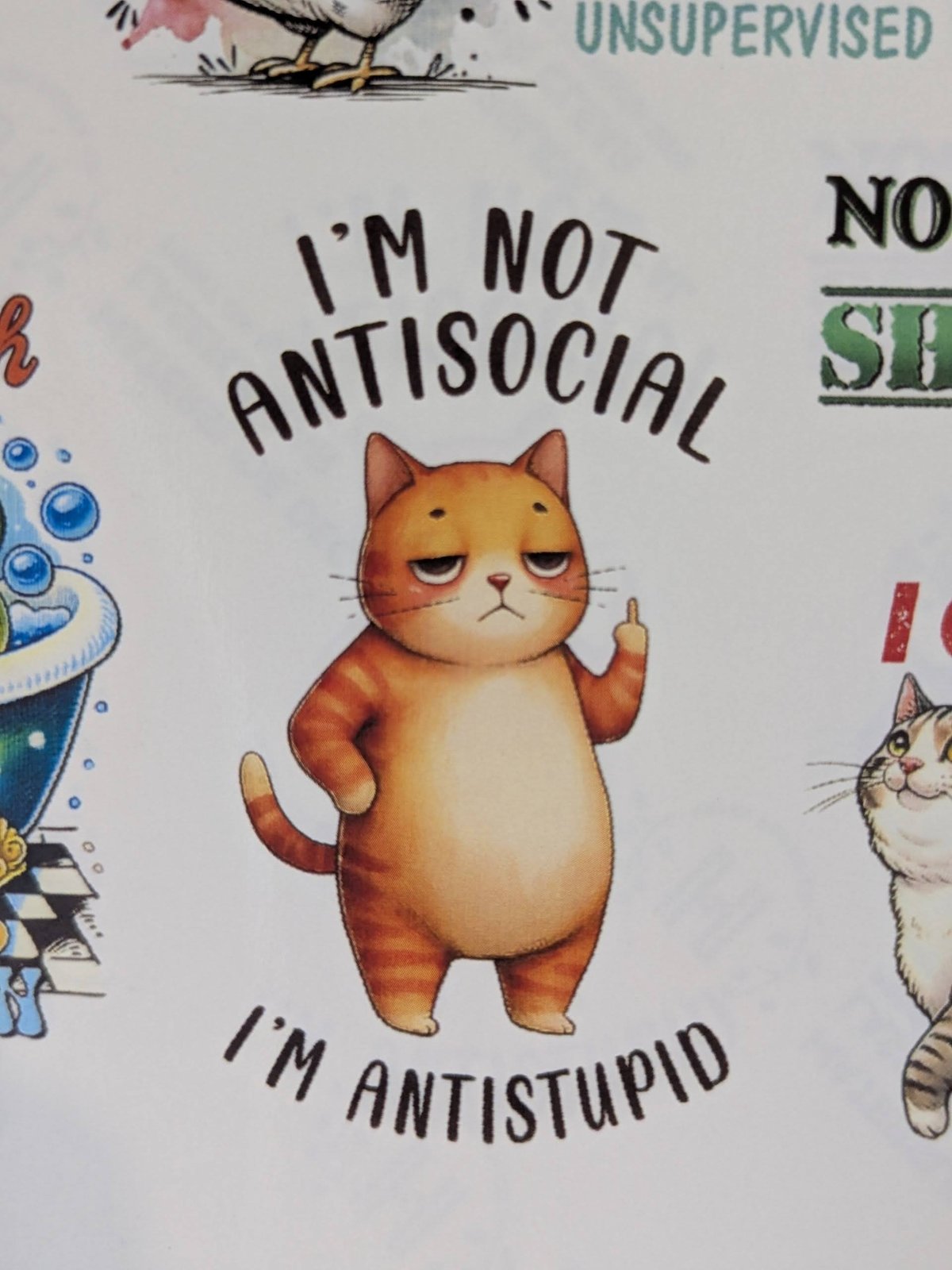 I'm Not Antisocial I'm Antistupid cat printed waterslide decal