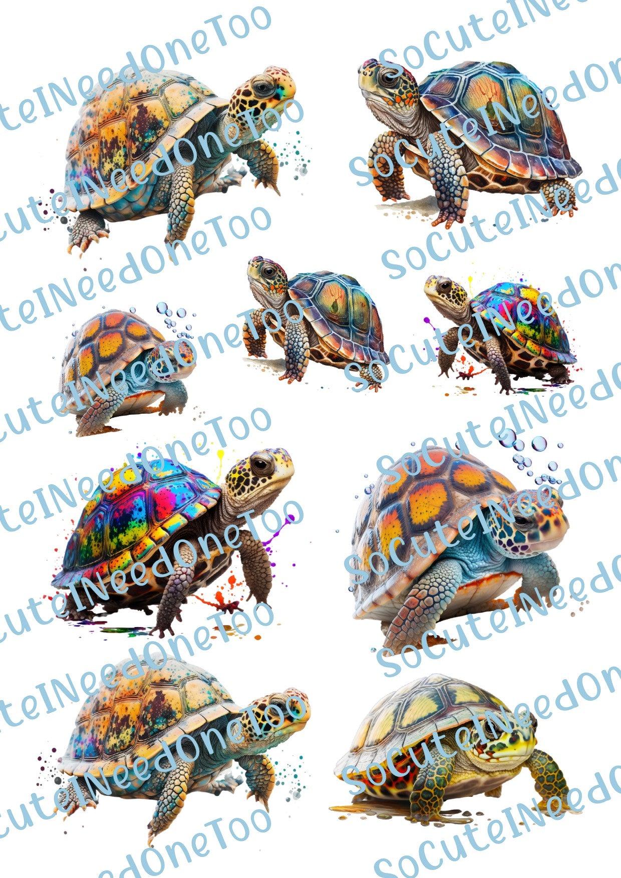 Turtles - Beautiful Colors of Waterslides - SoCuteINeedOneToo