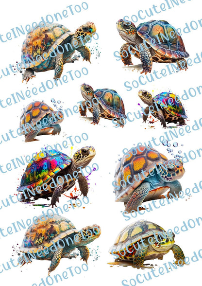 Turtles - Beautiful Colors of Waterslides - SoCuteINeedOneToo