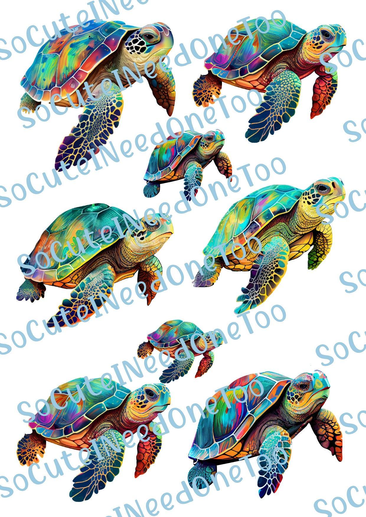 Turtles - Beautiful Colors of Waterslides - SoCuteINeedOneToo