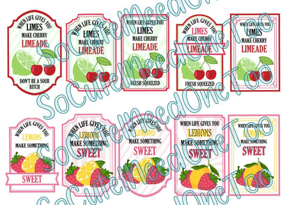 When Life Gives you - BITCH SERIES Waterslide Decals - SoCuteINeedOneToo